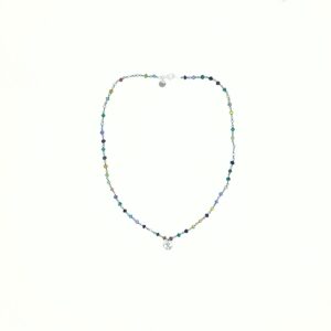 FotoWeb_TAF-Coll.-Donna Trm.